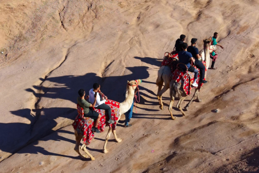 Camel Riding in Al-Bayda