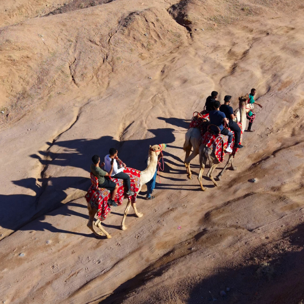 Camel Riding in Al-Bayda