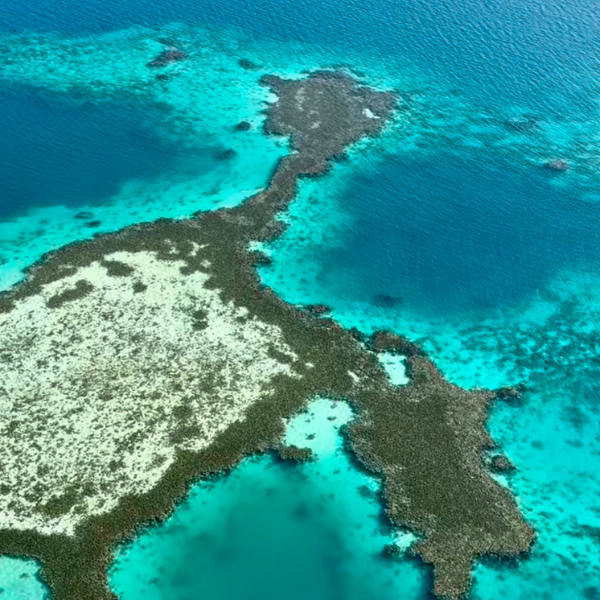Gyrocopter Flight from Madinah to Yanbu