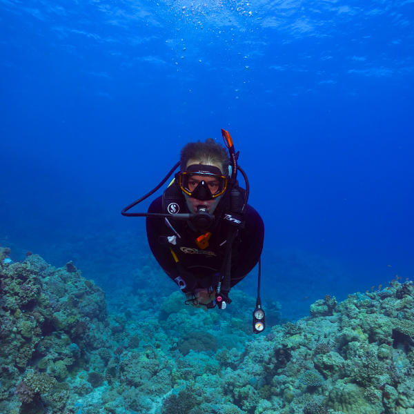 Red Sea Diving at the Shipwreck – Yanbu