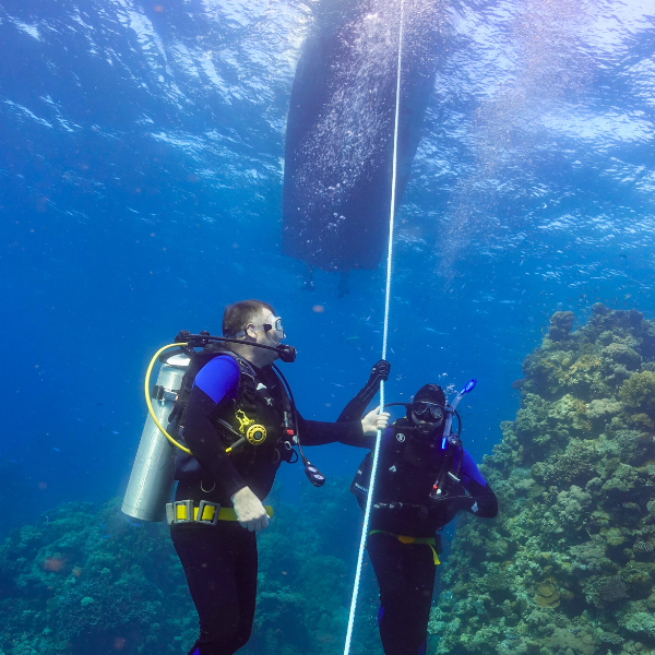 Luxury Private Red Sea Diving Experience – Yanbu