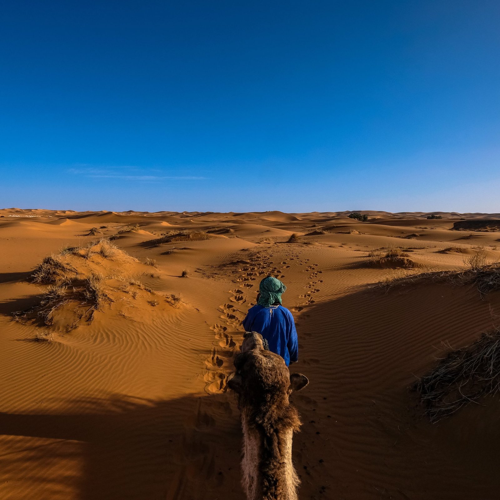 المغامرات في السعودية