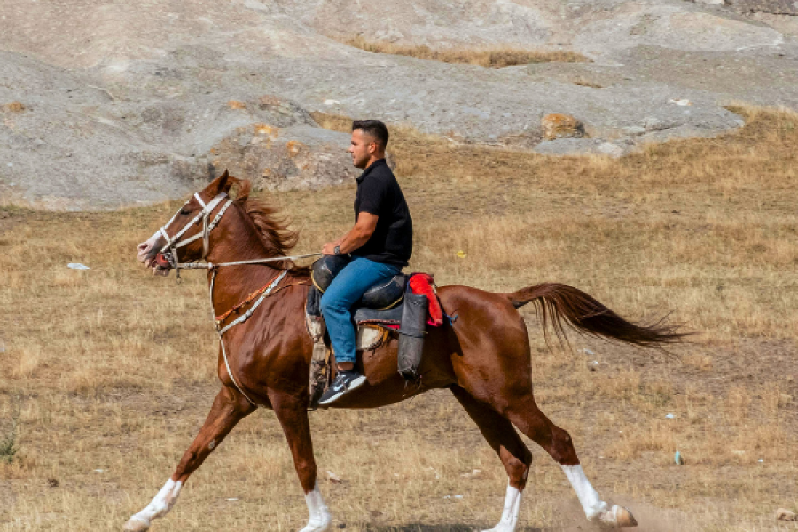 Horseback Riding in Madinah
