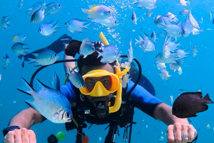 Luxury Private Red Sea Diving Experience – Yanbu